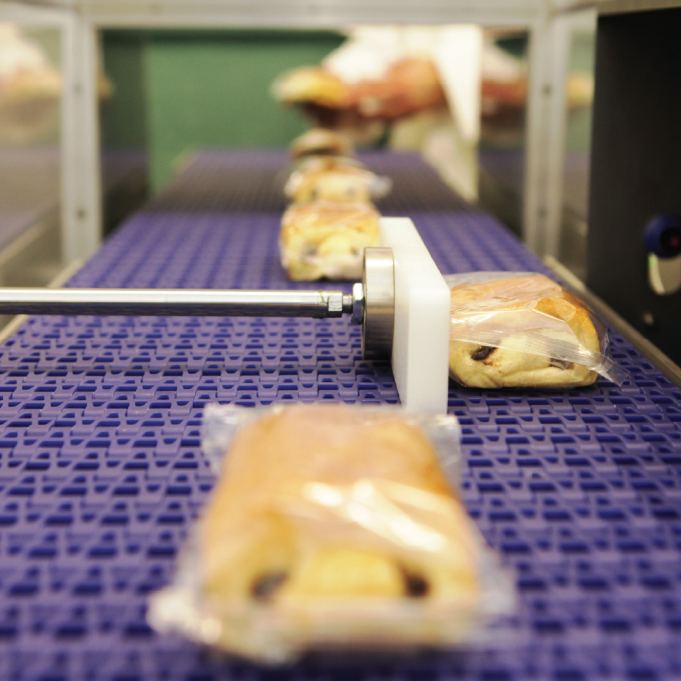 food on an inspection system belt
